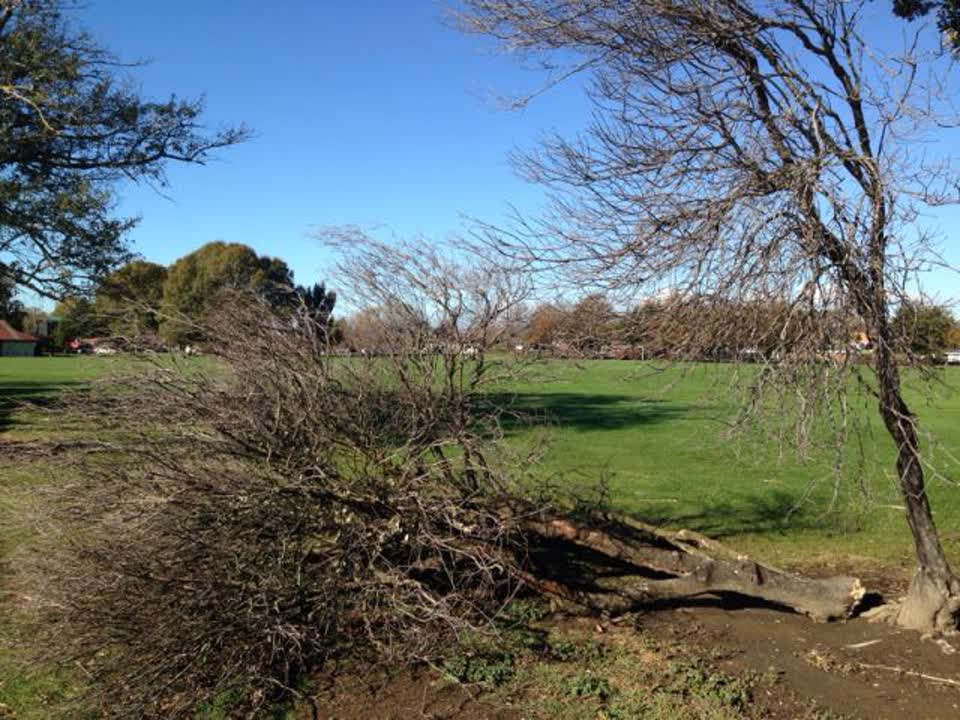 The photograph attached to this parks report