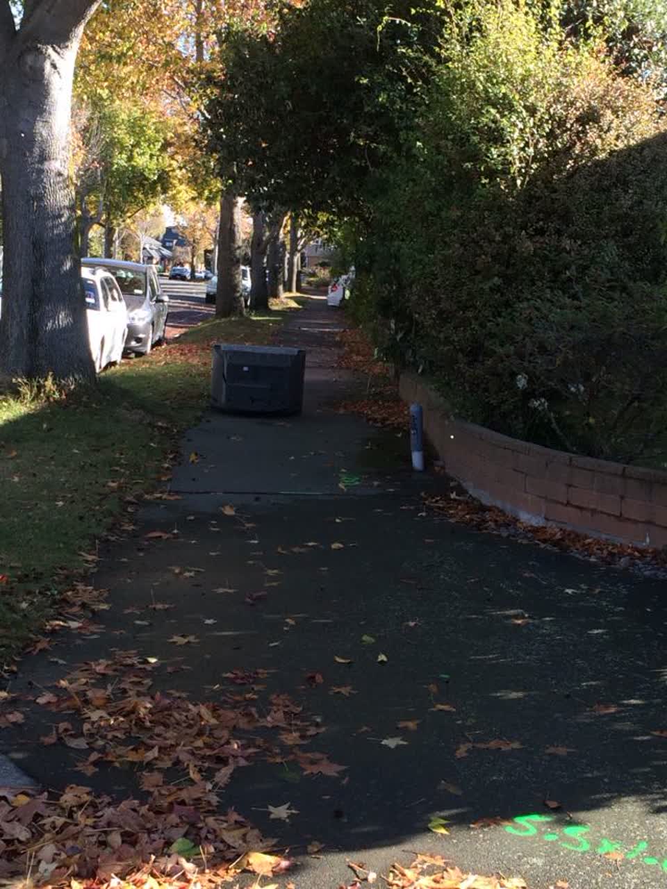 The photograph attached to this roading/streets report