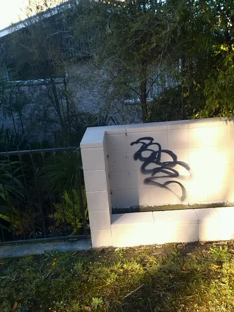 Graffiti, a report photo