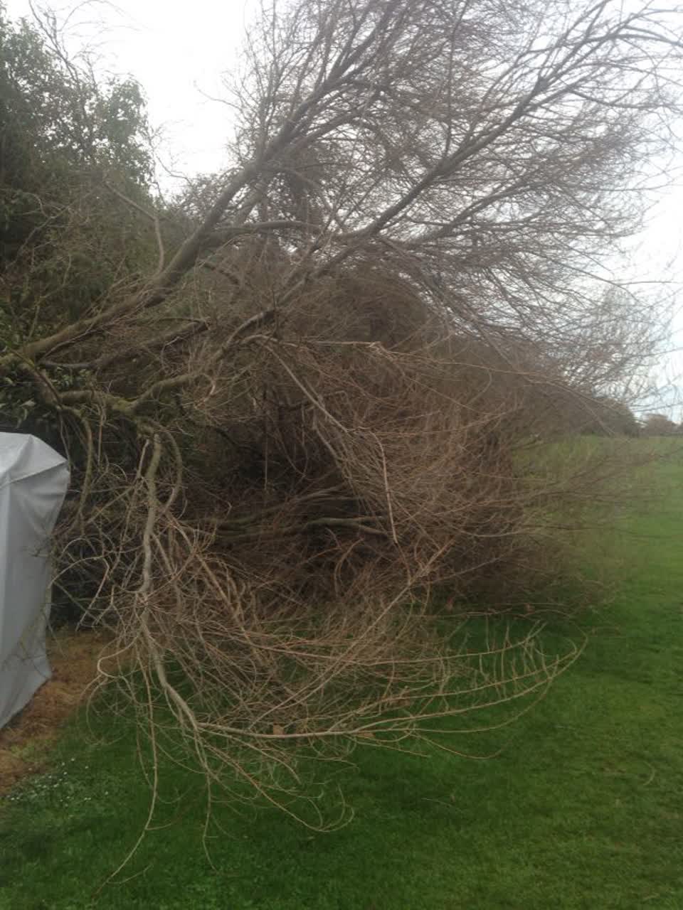 The photograph attached to this parks report