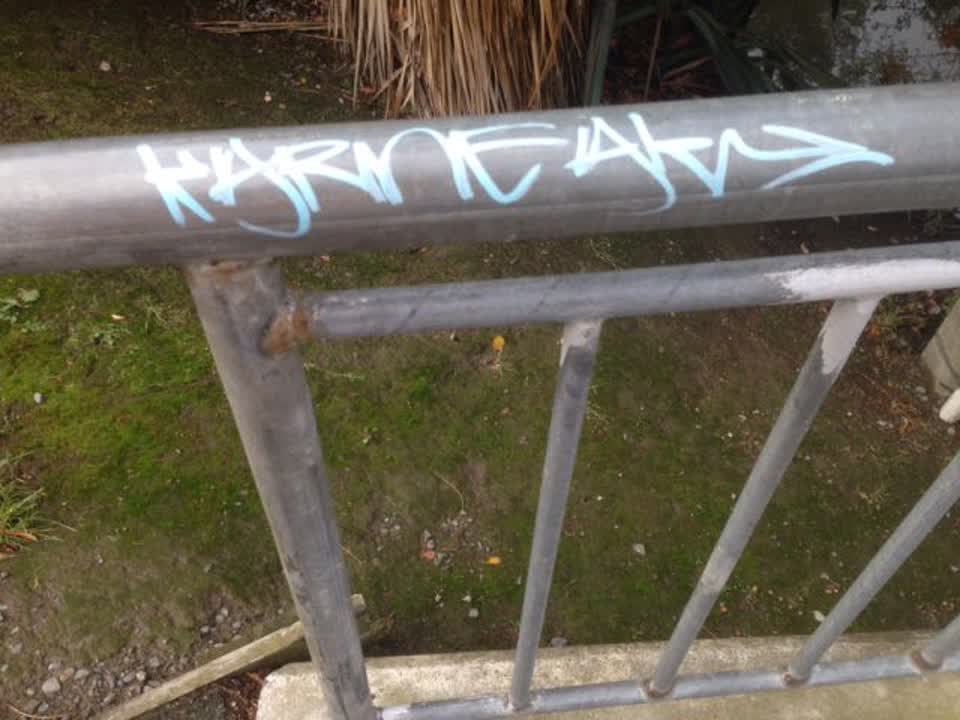 The photograph attached to this graffiti report