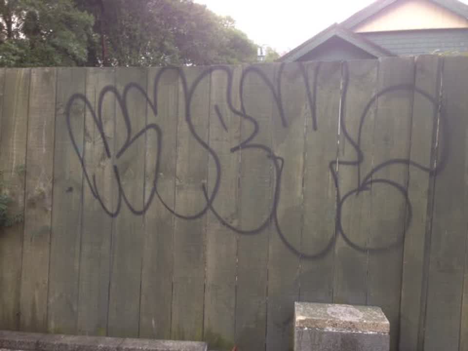 The photograph attached to this graffiti report