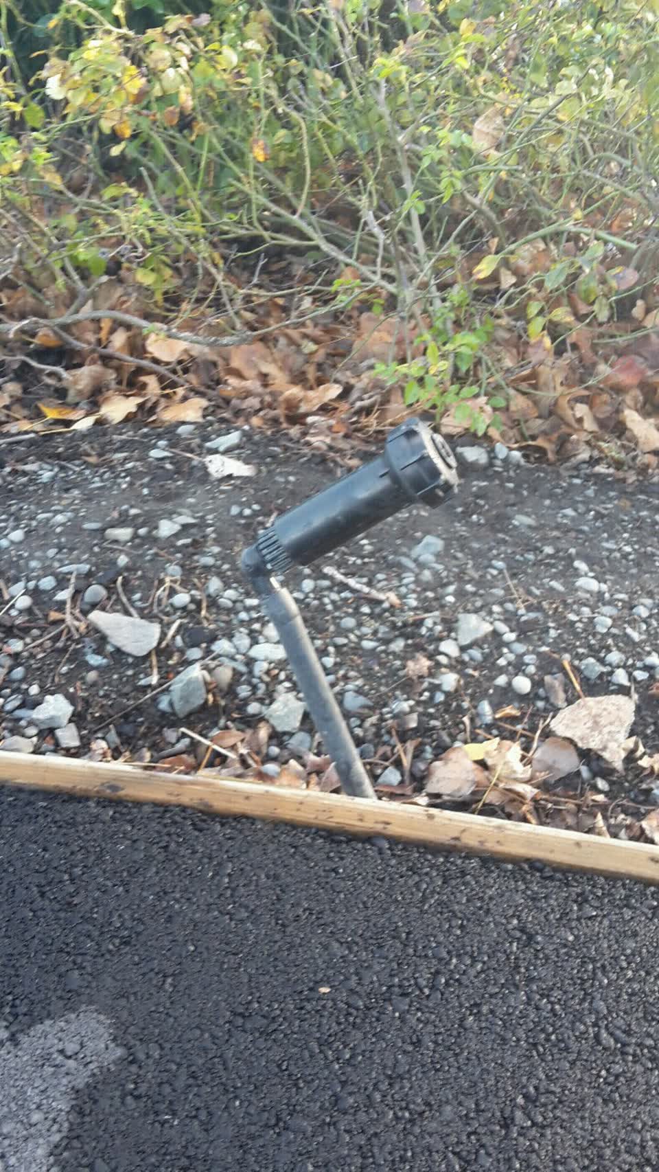The photograph attached to this parks report