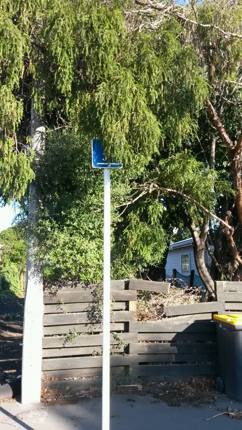Roading/Streets, a report photo