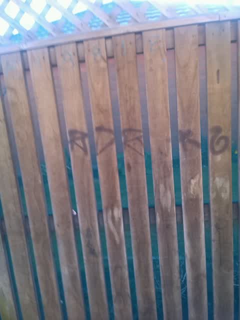 Graffiti — a report photo