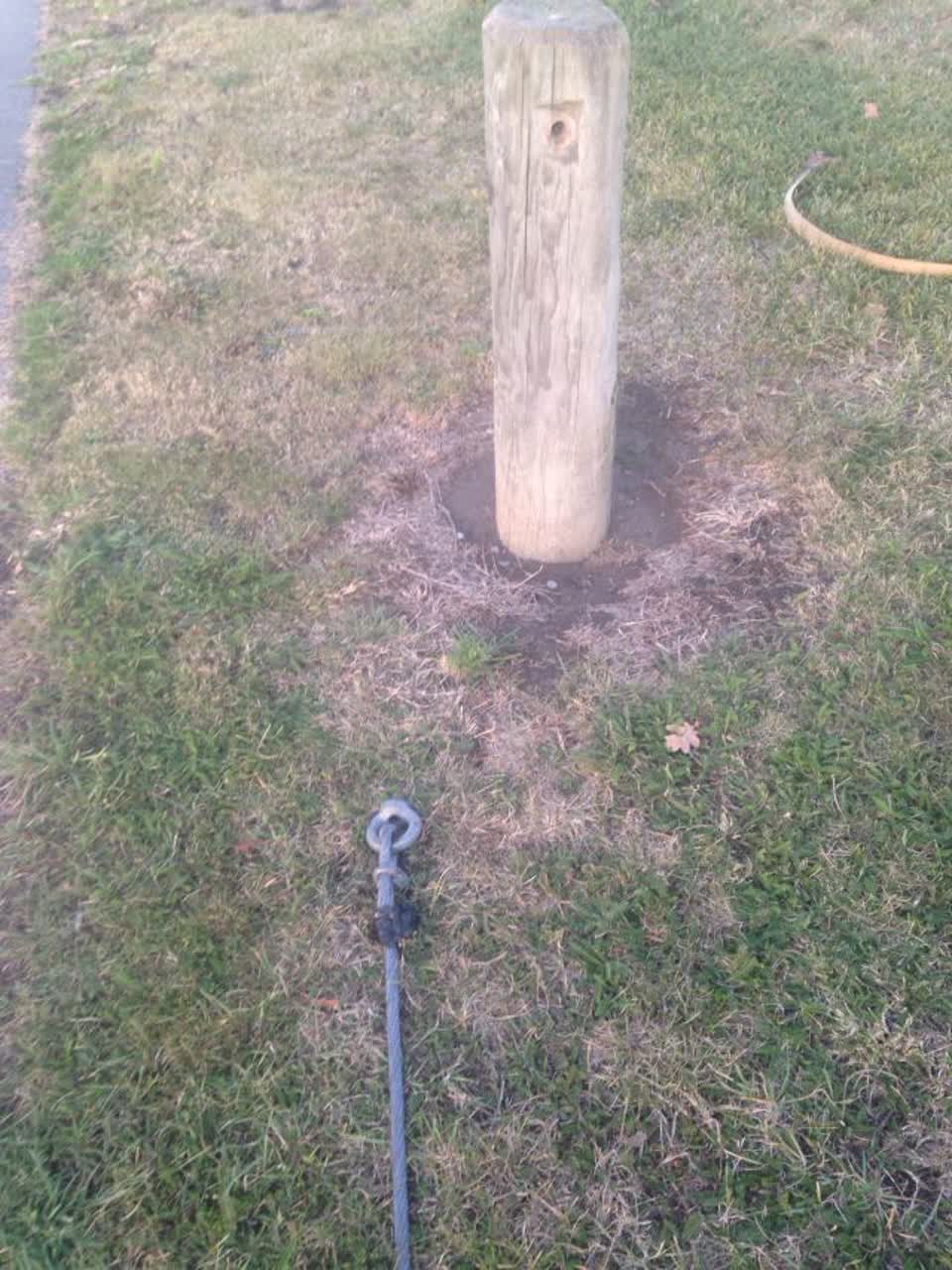 The photograph attached to this parks report