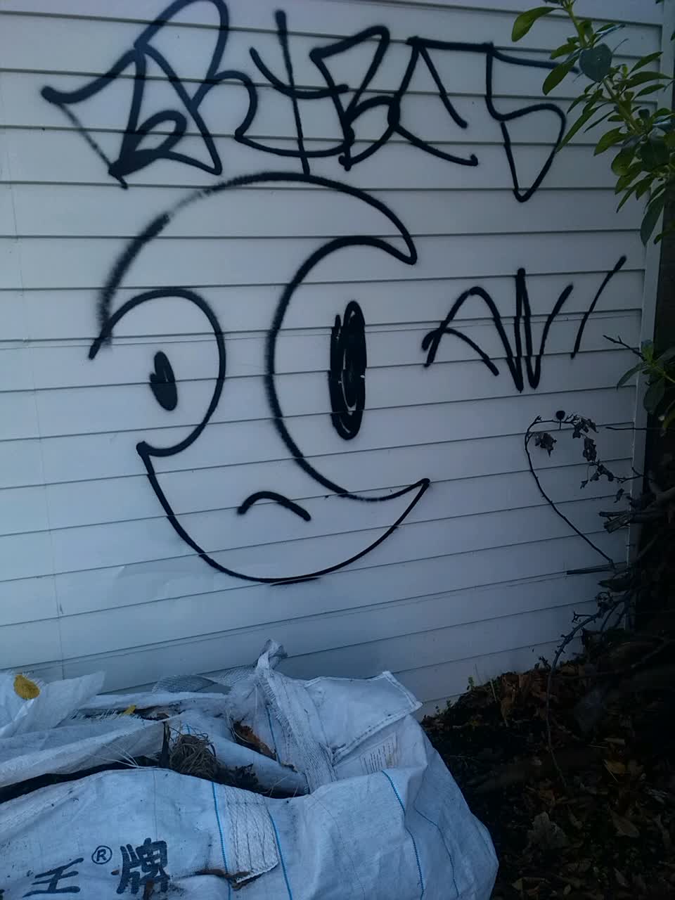The photograph attached to this graffiti report