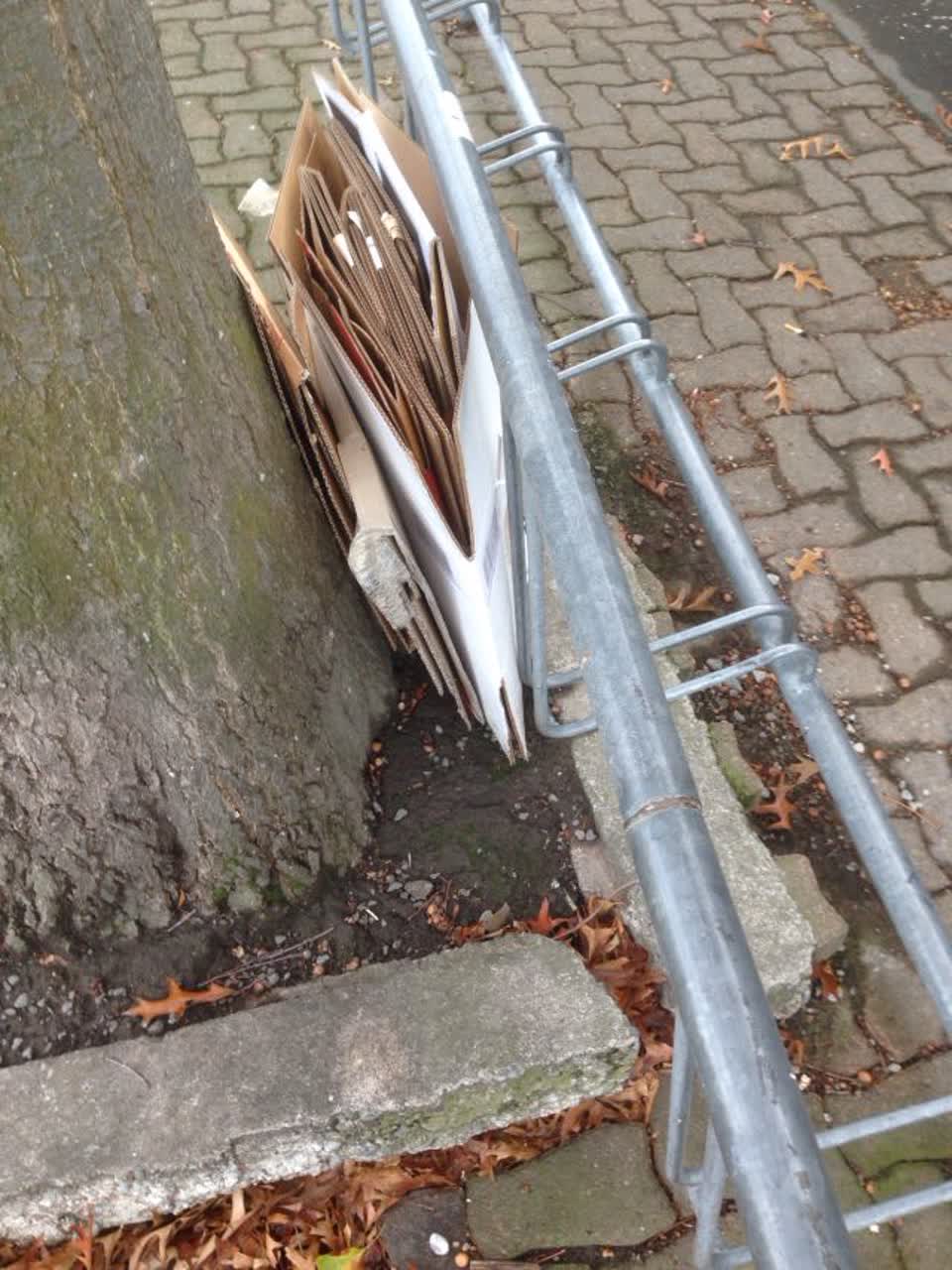 The photograph attached to this rubbish/recycling report