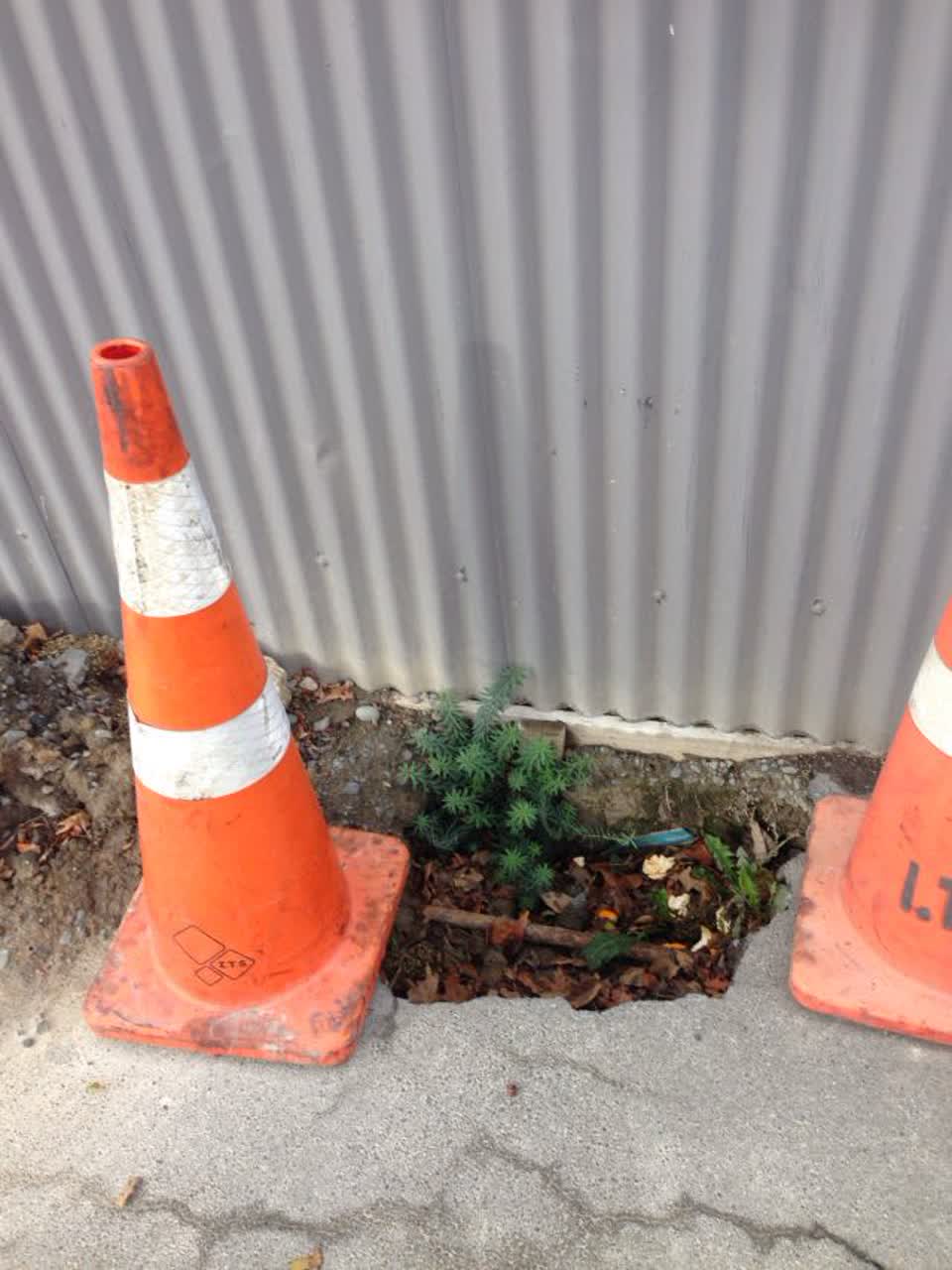 The photograph attached to this water supply report