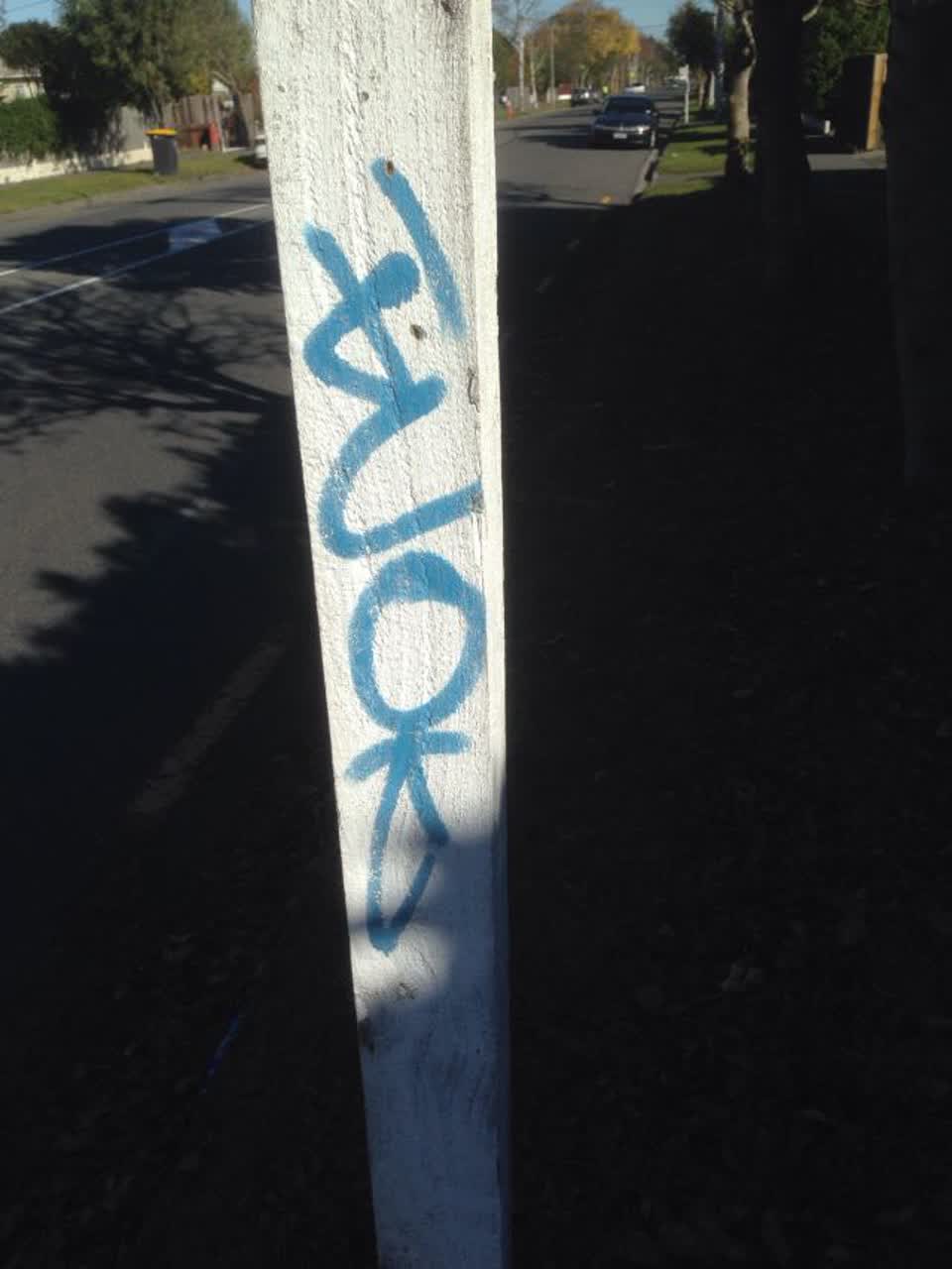 The photograph attached to this graffiti report