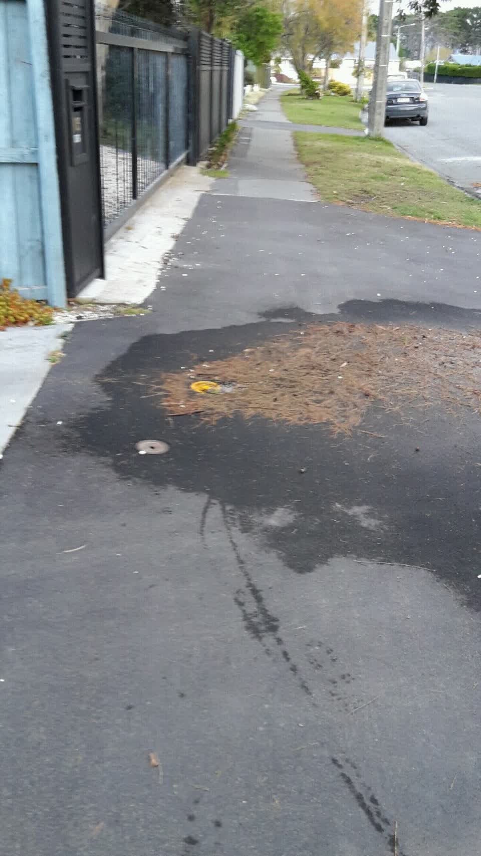 The photograph attached to this water supply report