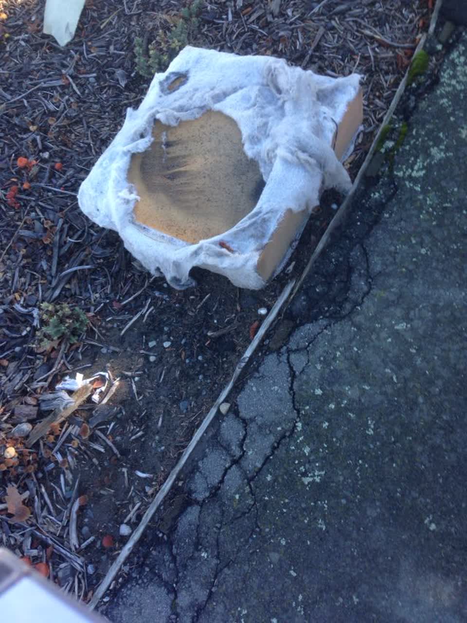 The photograph attached to this rubbish/recycling report