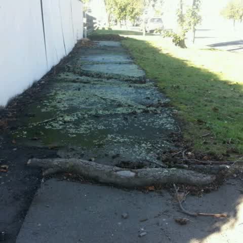 Roading/Streets, a report photo