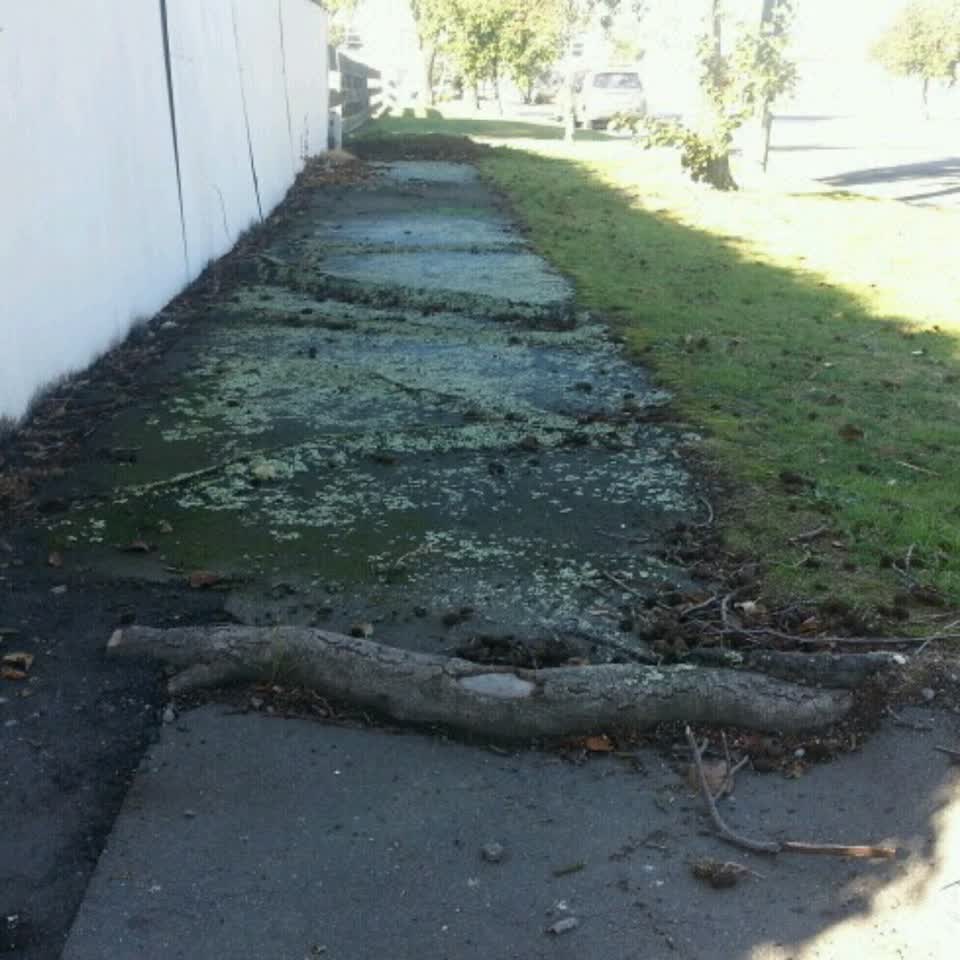 The photograph attached to this roading/streets report