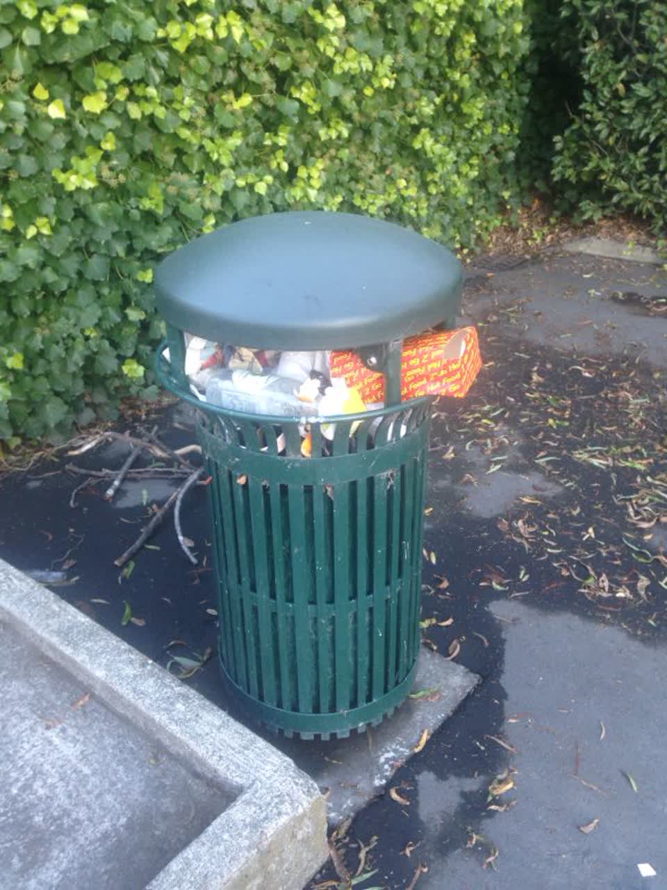 The photograph attached to this parks report