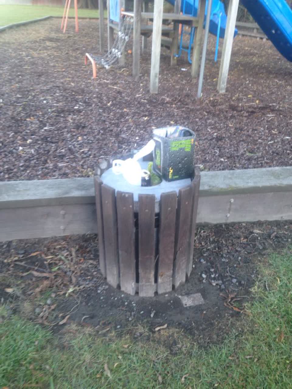 The photograph attached to this parks report