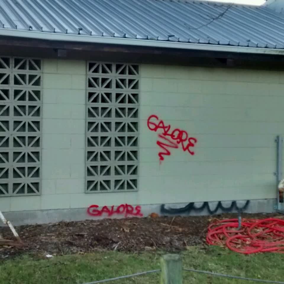 The photograph attached to this graffiti report