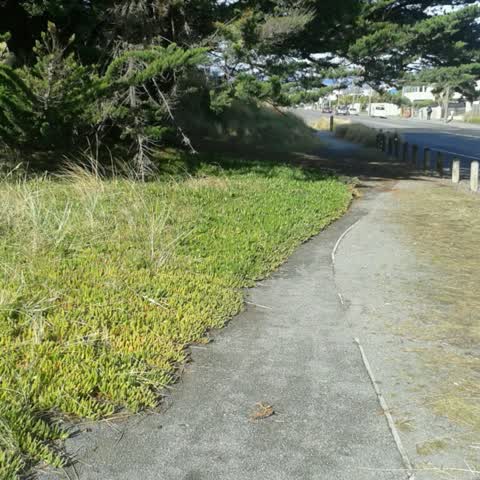 Parks, a report photo