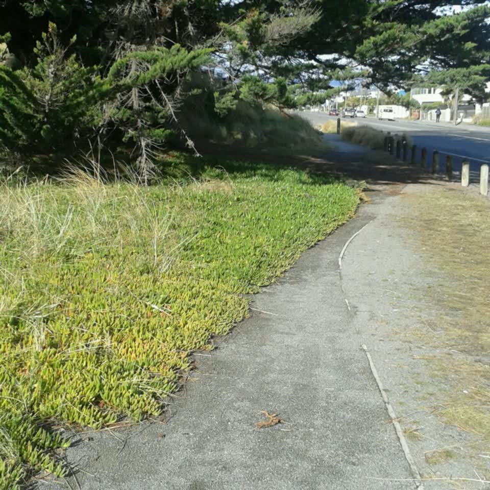 The photograph attached to this parks report