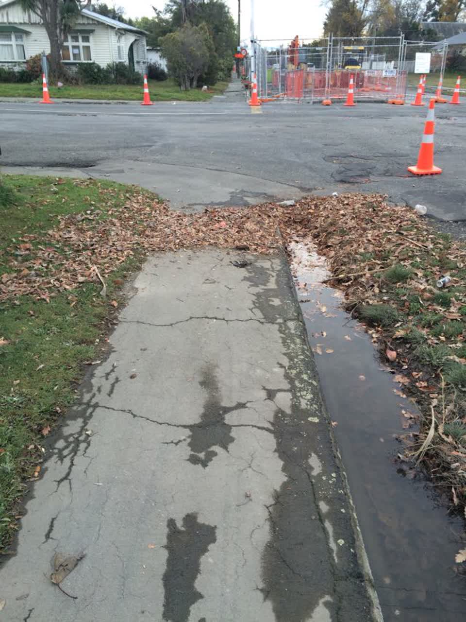 The photograph attached to this wastewater/stormwater report