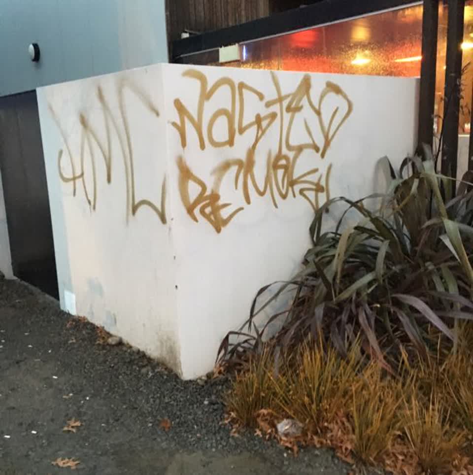 The photograph attached to this graffiti report