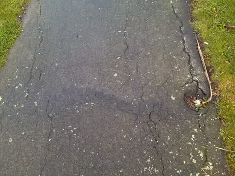Roading/Streets, a report photo