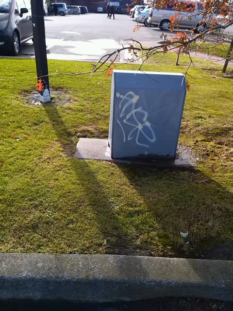 Graffiti, a report photo