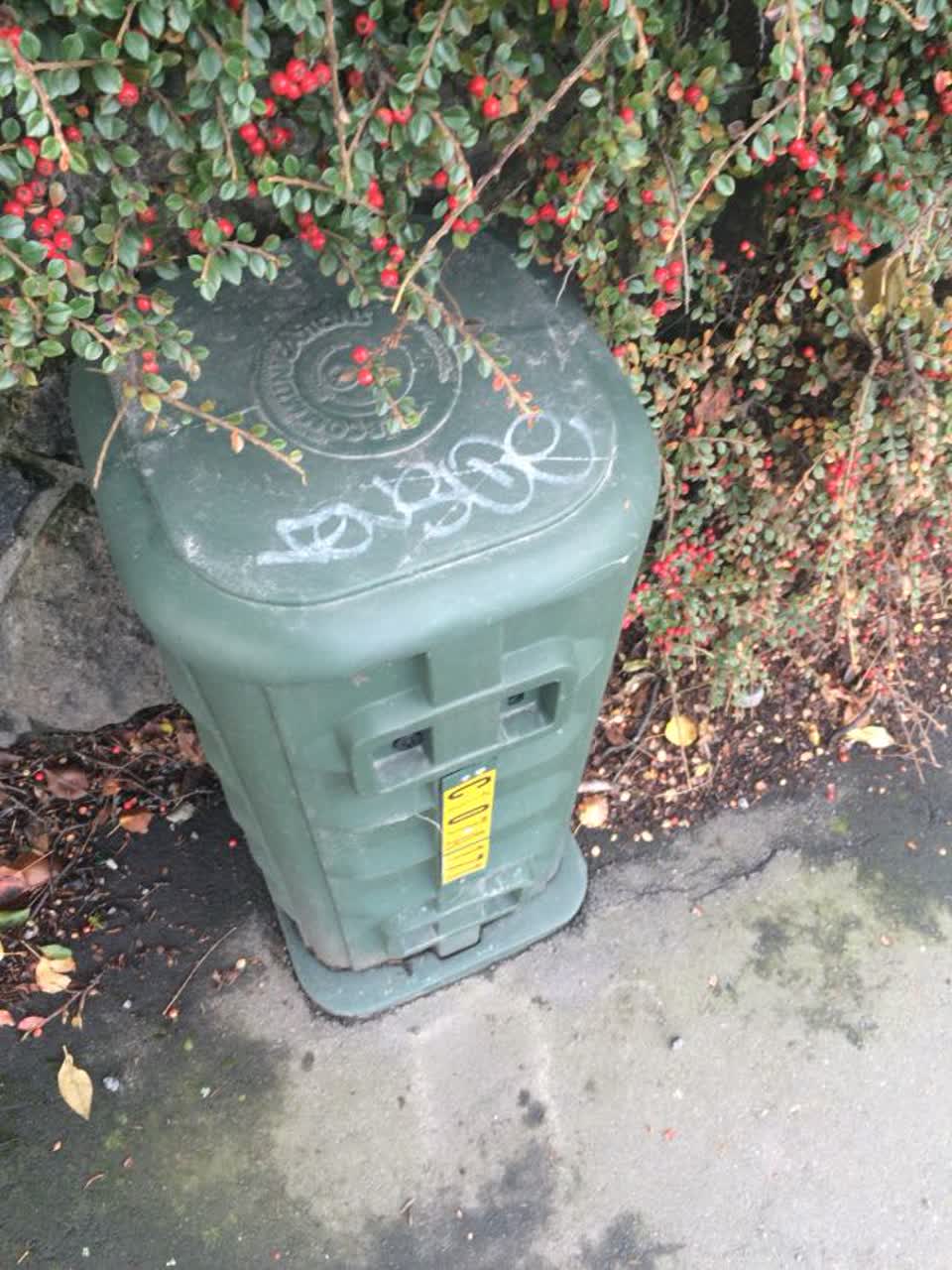 The photograph attached to this graffiti report