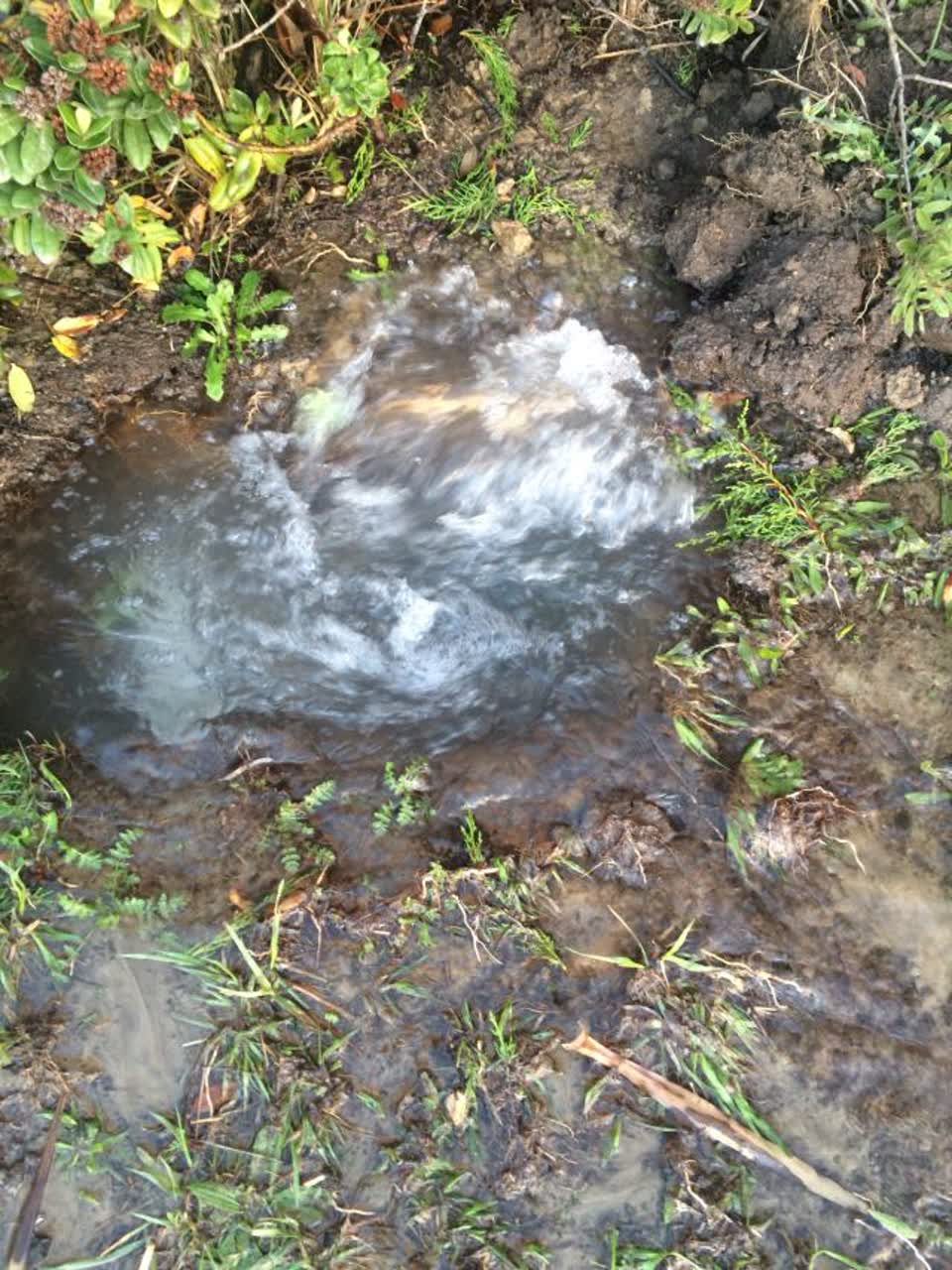 The photograph attached to this water supply report