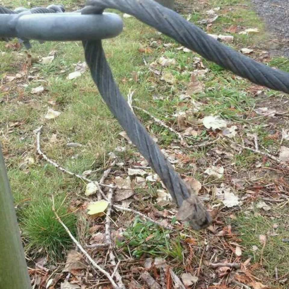 The photograph attached to this parks report