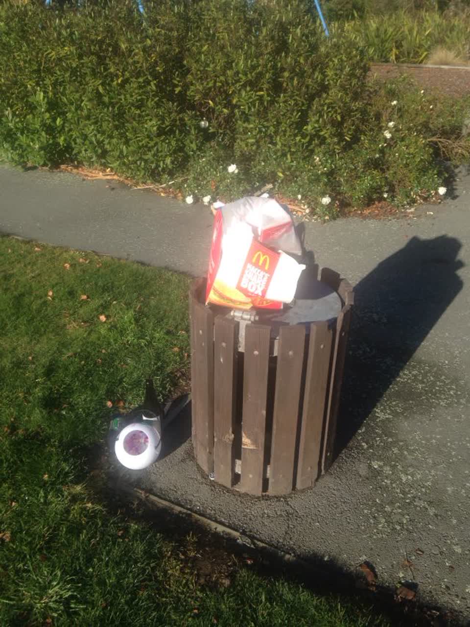 The photograph attached to this parks report