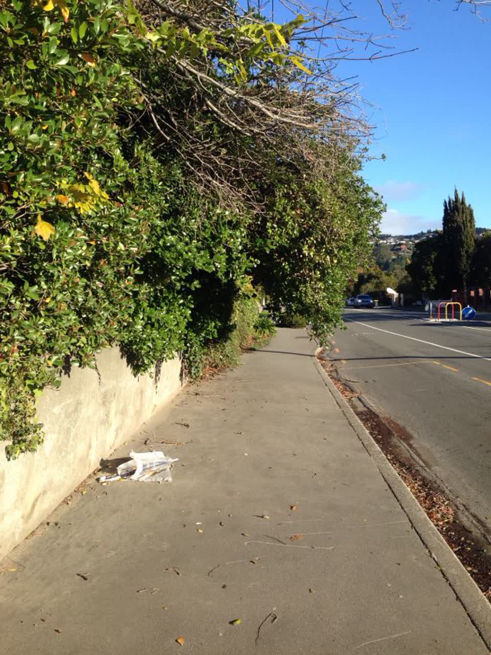 The photograph attached to this roading/streets report