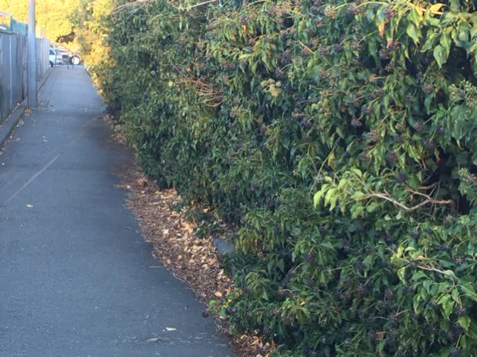 The photograph attached to this roading/streets report