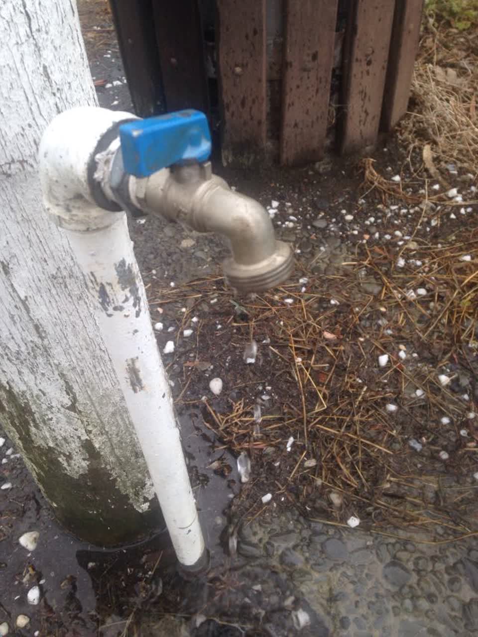 The photograph attached to this parks report