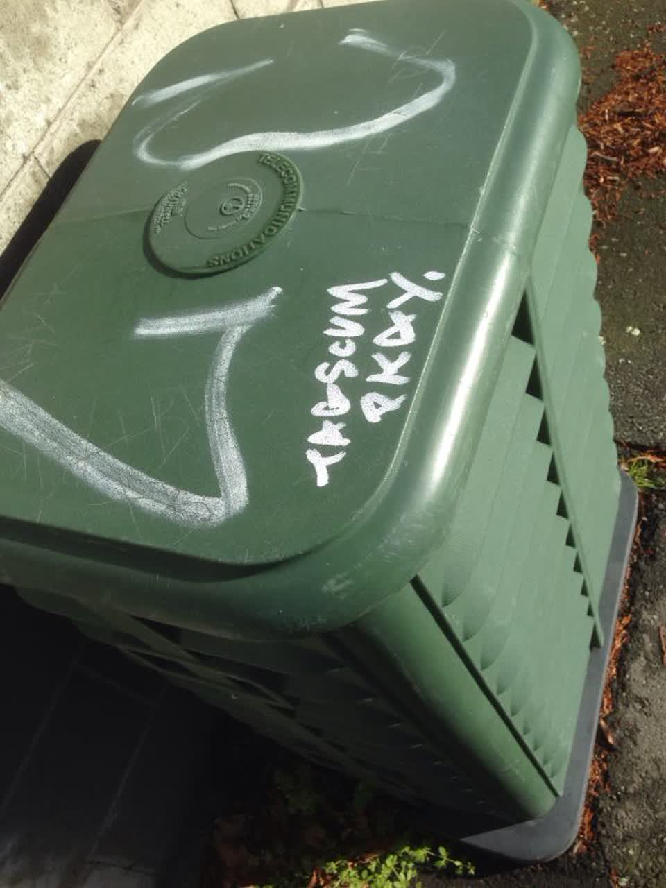 The photograph attached to this graffiti report