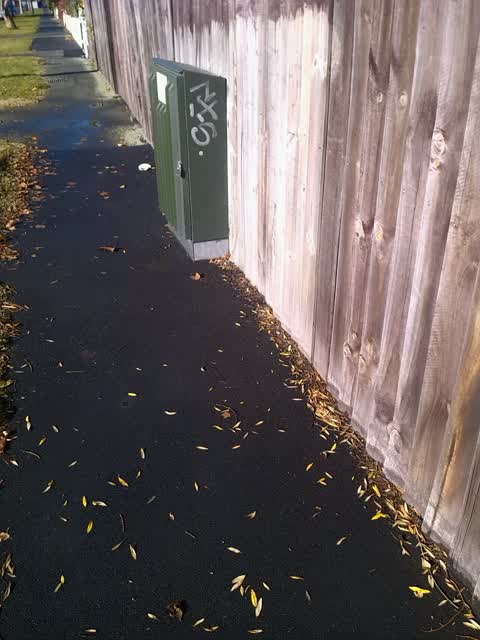 Graffiti, a report photo