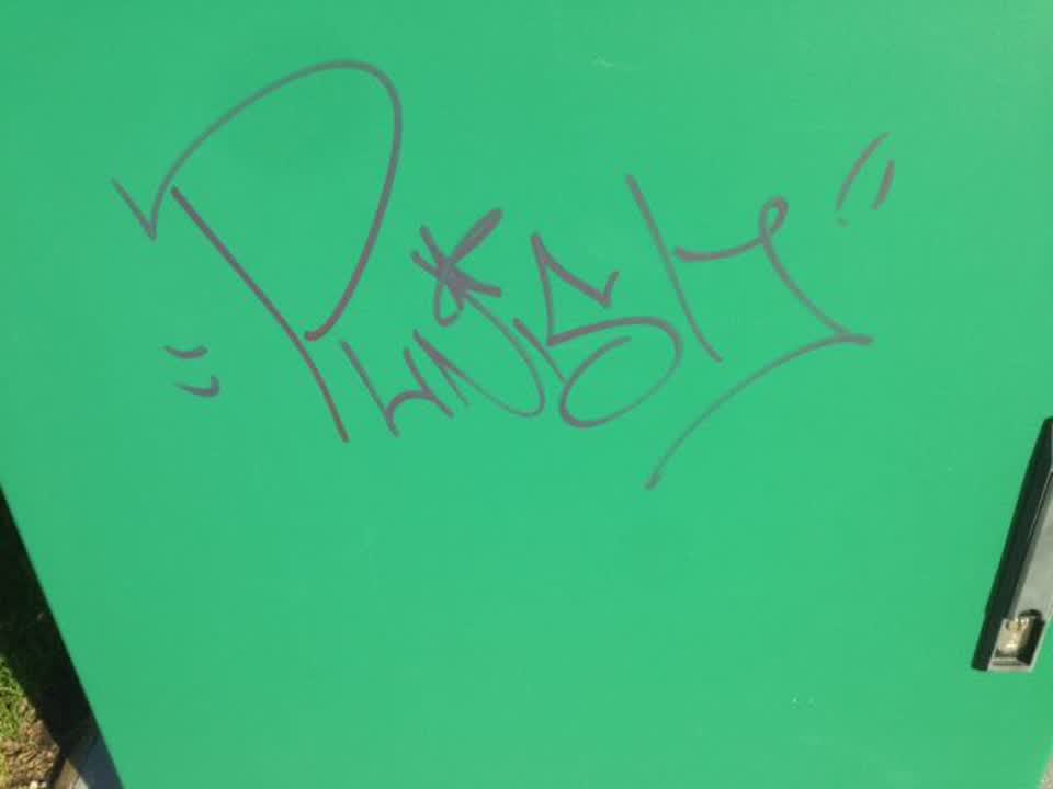 The photograph attached to this graffiti report