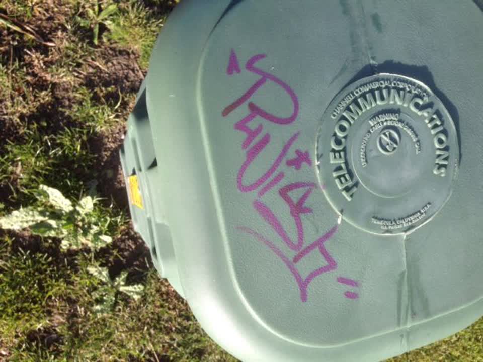 The photograph attached to this graffiti report