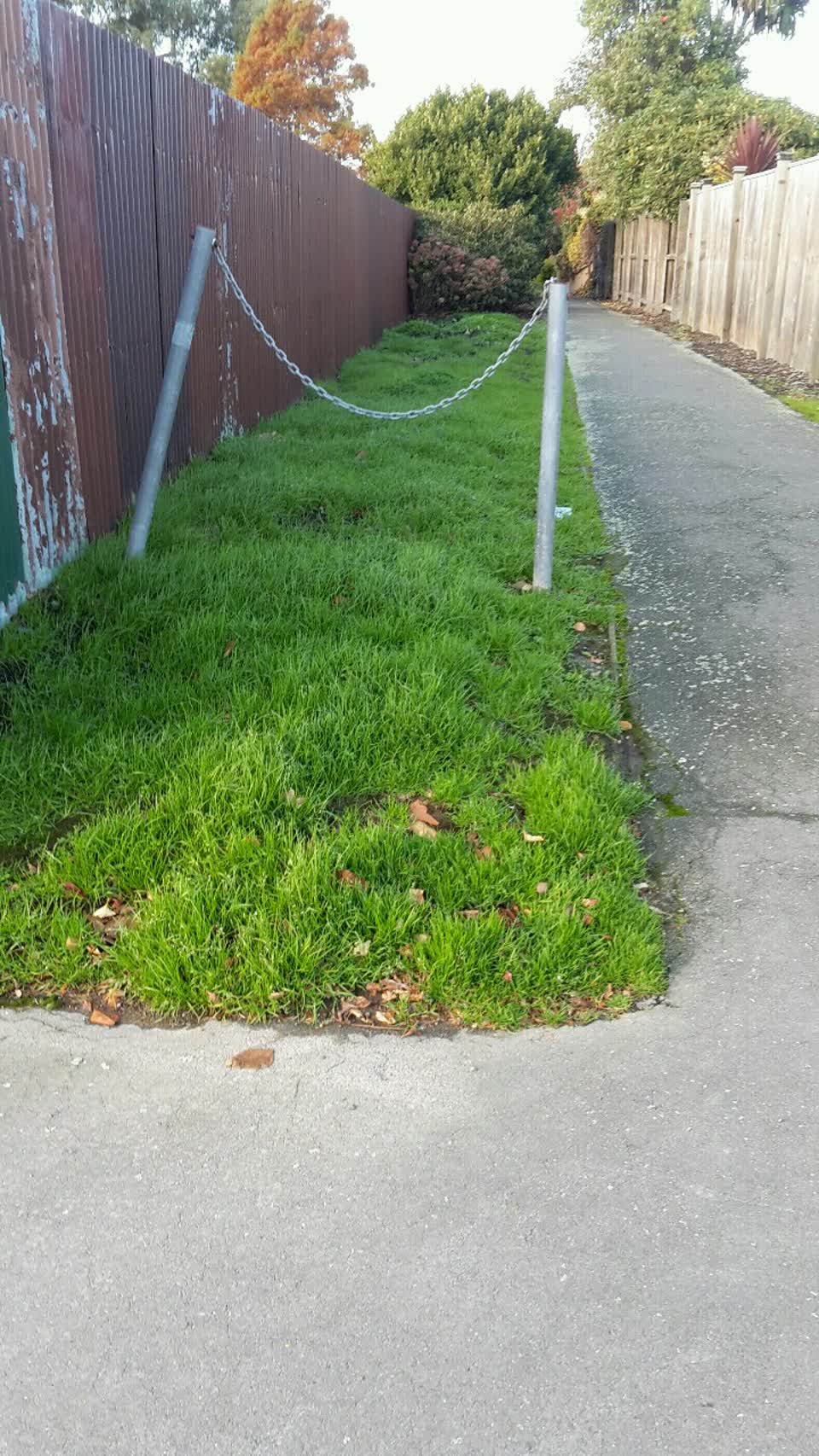 The photograph attached to this parks report