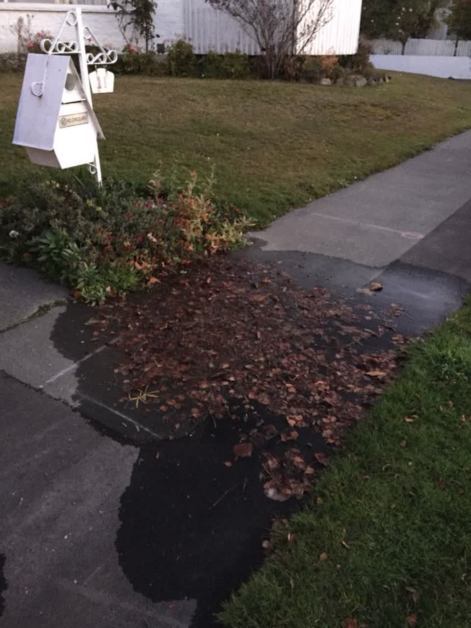 The photograph attached to this water supply report