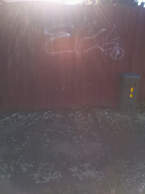 Graffiti, a report photo