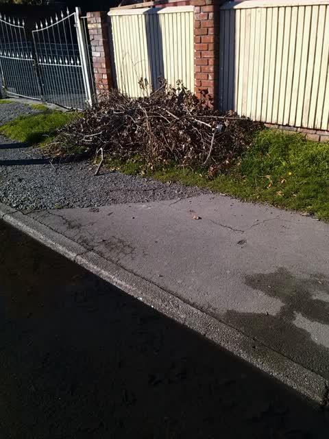 Rubbish/Recycling, a report photo