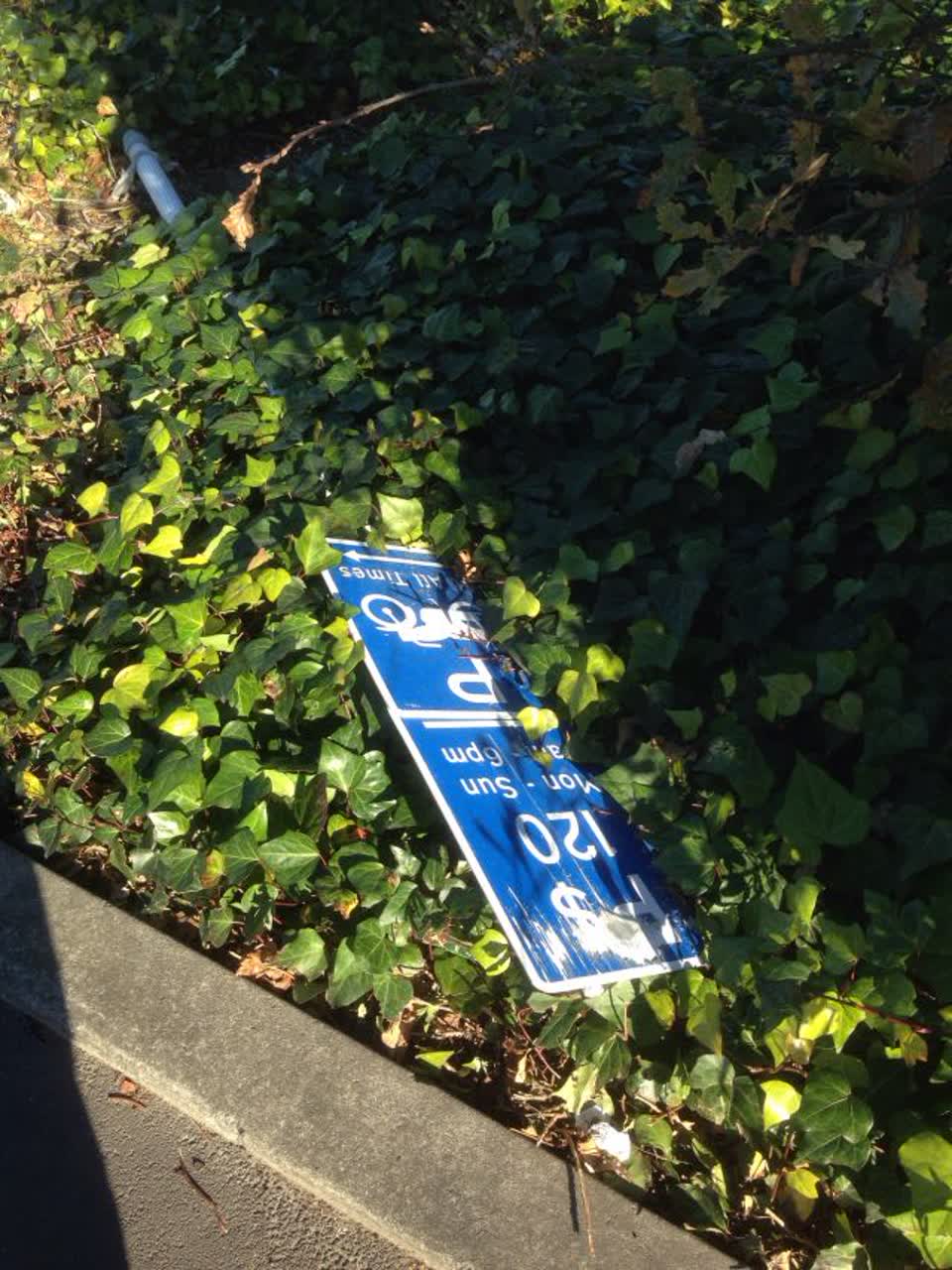 The photograph attached to this roading/streets report
