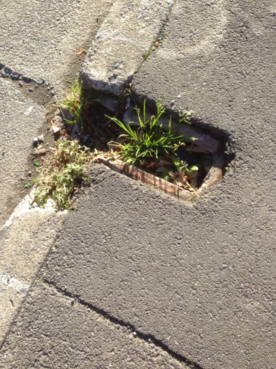 The photograph attached to this roading/streets report