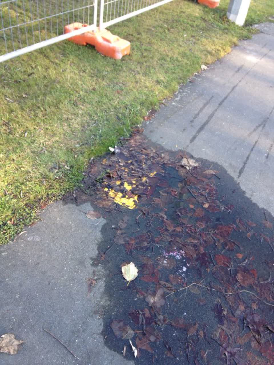 The photograph attached to this water supply report