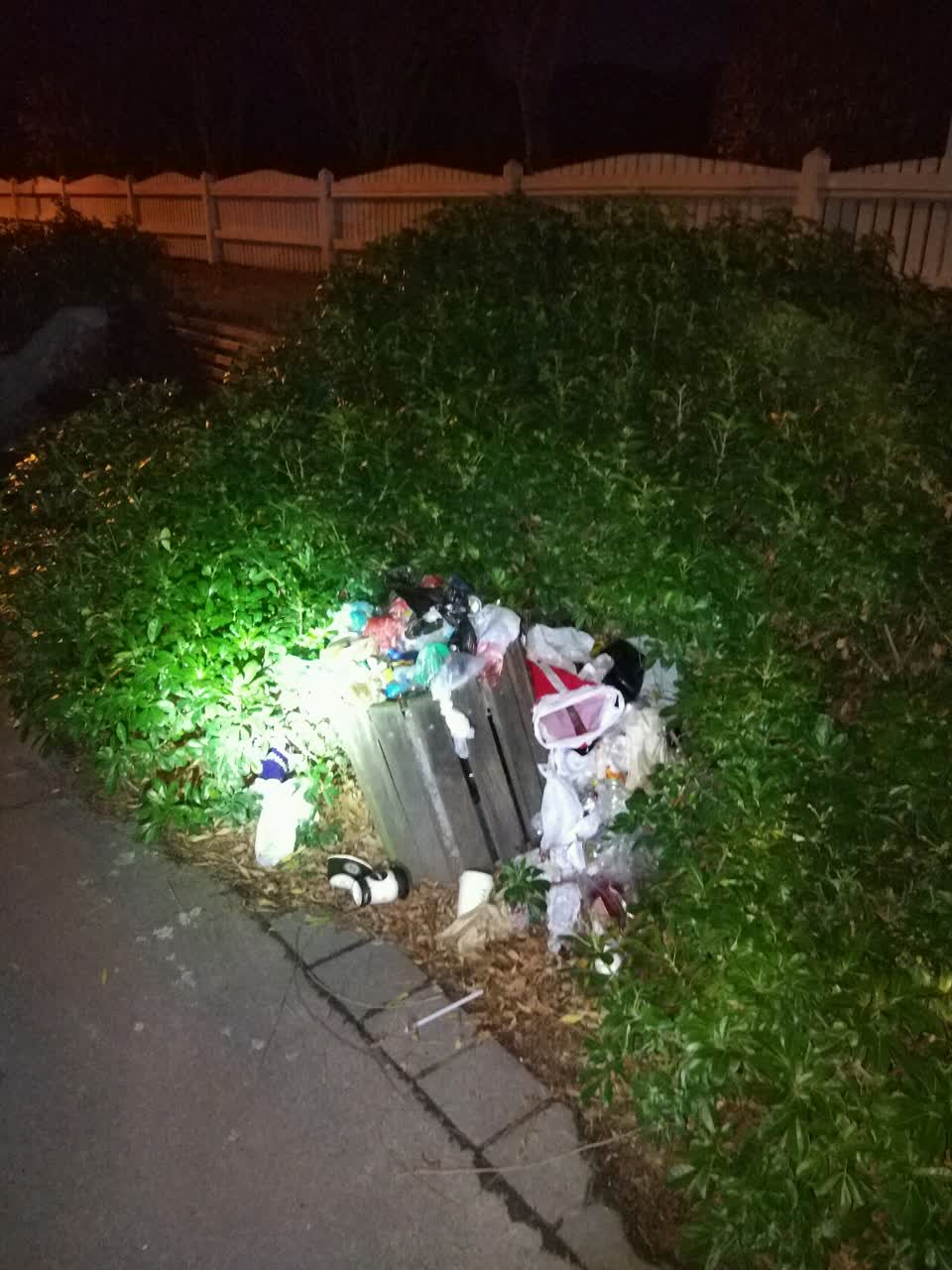 The photograph attached to this rubbish/recycling report