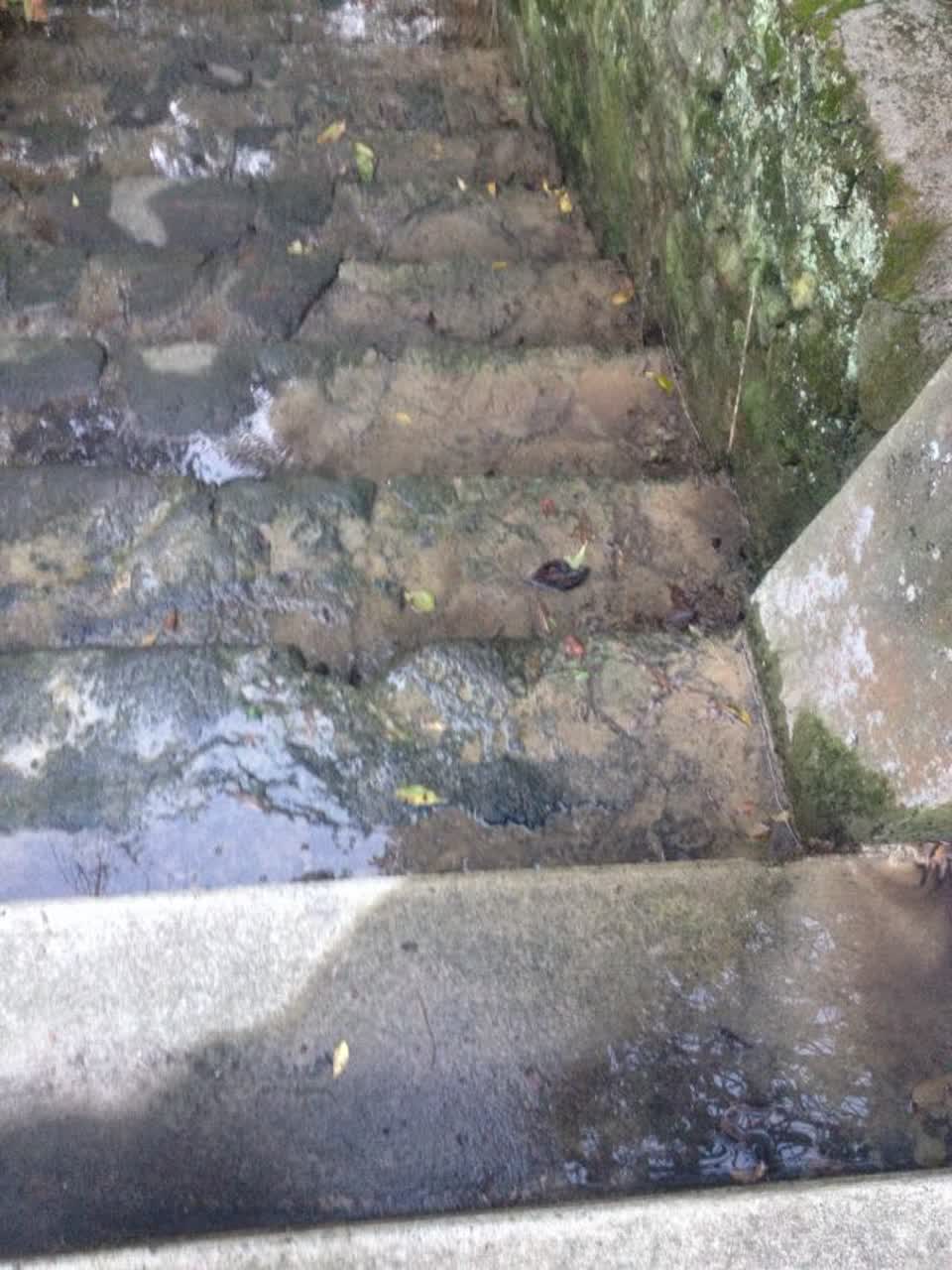 The photograph attached to this water supply report