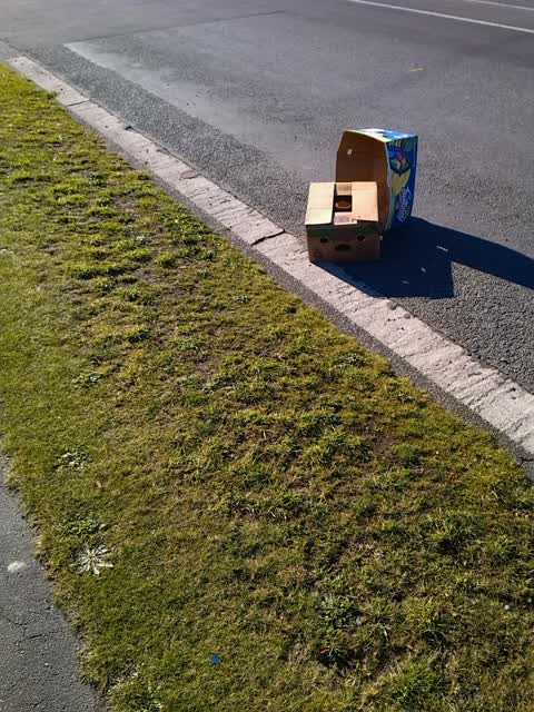 Rubbish/Recycling, a report photo