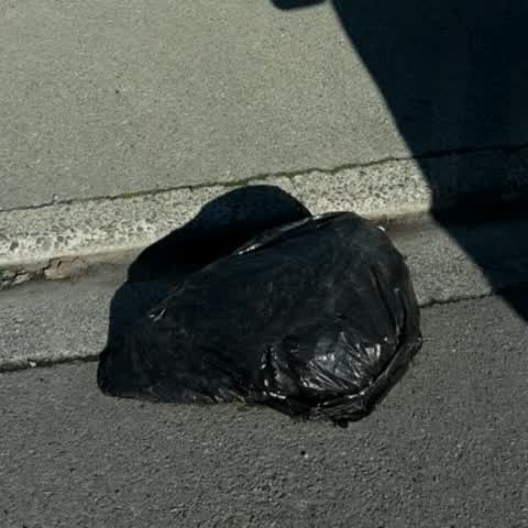Rubbish/Recycling, a report photo