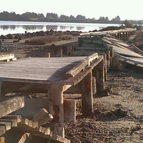Parks, a report photo